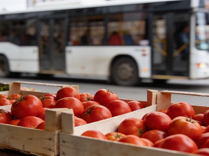 Помидоры в Ульяновской области подорожали на 8,7% Pomogator.Travel