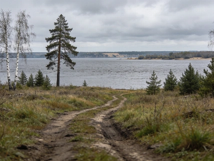 Под Новосибирском предлагают участки для турбаз без коммуникаций Pomogator.Travel